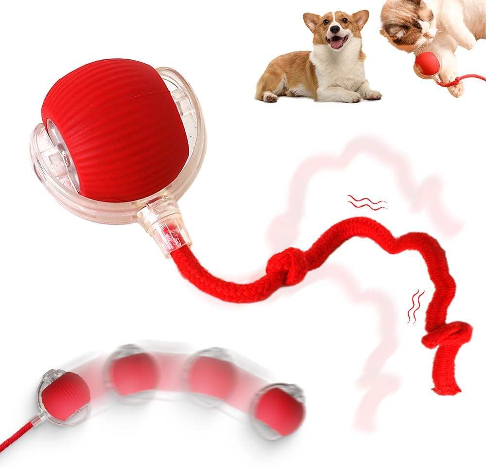 Interactive Toys Training Self-moving Catnip Toys for Cat Electric Pet Ball Automatic Rolling Ball Smart Cat Toys